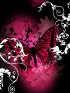 Dark_Pink_Butterfly